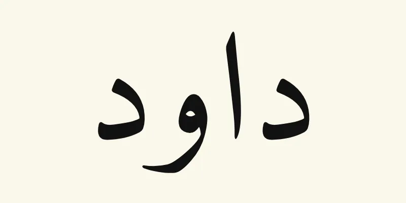 The name David in Arabic, داود, in black Naskh lettering from the Amiri font on a cream background