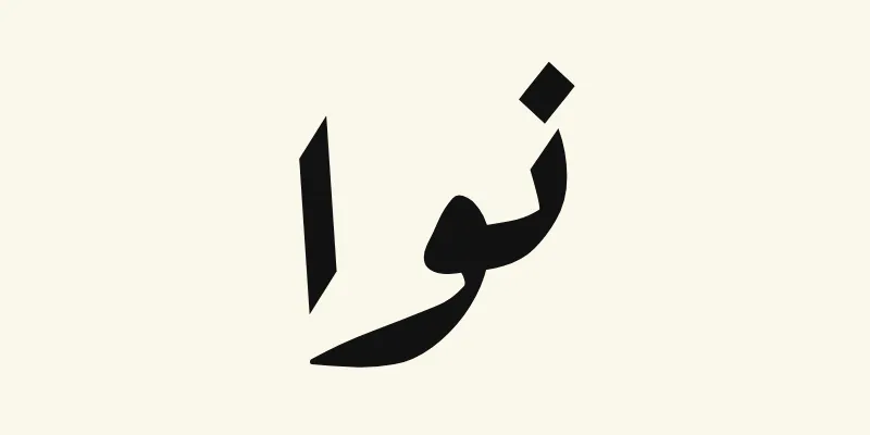 Le prénom Noah en arabe, نوا, en écriture ruqah inclinée noire de la police Aref Ruqaa, sur fond crème